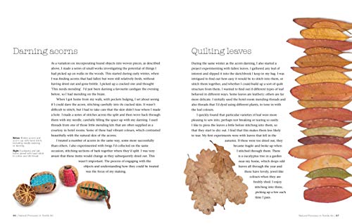 Natural Processes in Textile Art: From Rust-Dyeing to Found Objects - Thumbnail 6