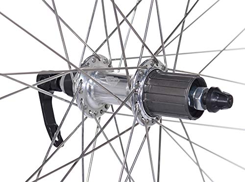 Capstone 29 inch Alloy Rear Wheel QR 36H Cassette