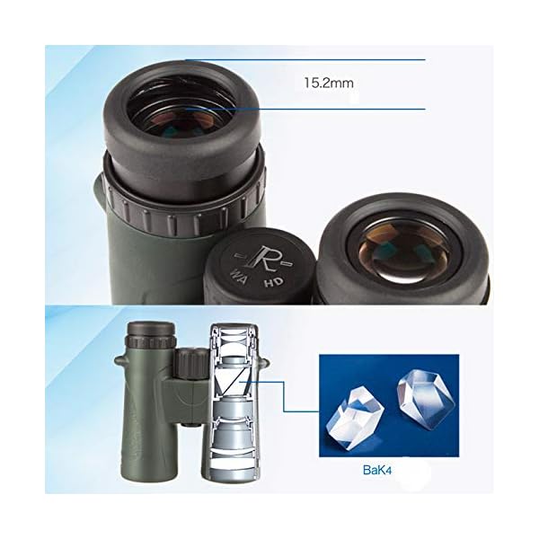 CJSWT Ferngläser für Erwachsene, 10x42 Compact HD Fernglas mit Low Light Night Vision für Vogelbeobachtung Jagd Wandern… – Bild 5
