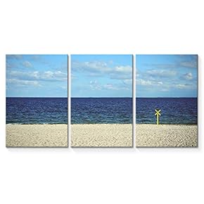 signwin 3 Piece Canvas Wall Art Beautiful Landscape...