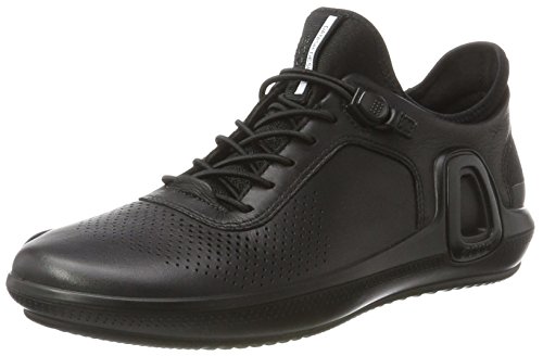 ecco intrinsic 3 online