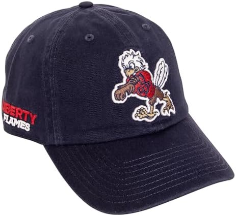 Amazon.com: Desert Cactus University of Vermont Baseball Hat UVM