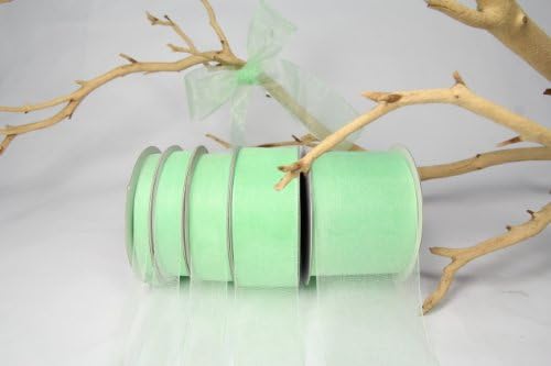 Mint Green Organza Sheer Ribbon-25 Yards X 3/8 Inches