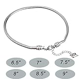 CAT EYE JEWELS Stainless Steel Starter Charm Bracelet, 316L Fits European Style Beads (Many Size Fit Adults & Kids)