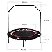 Mini Trampoline for Kids Adults, 40-Inch Folding Fitness Trampoline with Adjustable Handle Bar | Max Load 250lbs Rebounder for Indoor Outdoor Cardio Training