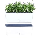 2 Pack Rectangular Planter 17 x 4.5 in Self