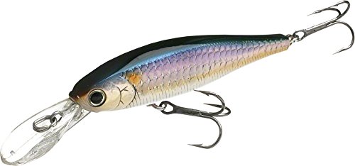Lucky Craft Fishing Lure Pointer 78 DD Jerk Bait, MS American Shad, 3-Inch (78mm)