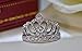 TenFit 925 Silver Princess Crown Ring with CZ Inlaid Fashion Jewelry Engagement Wedding Ring for Women