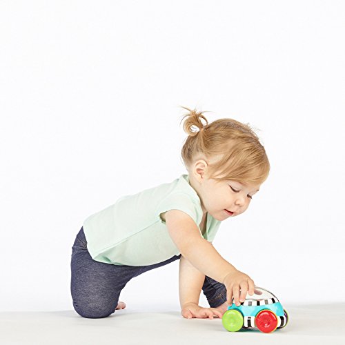41p7%2Bfu7SrL - Sassy Pop n' Push Car