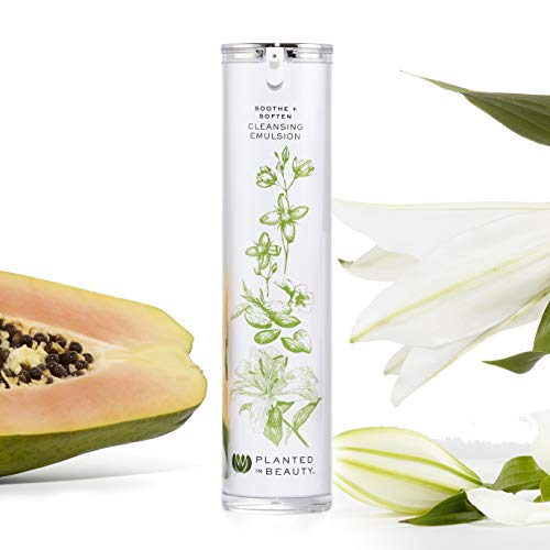 Organic Foaming Face Wash & Cream Cleanser - Luxury Natural Deep Pore Cleanser (Soothe + Soften) - Certified Vegan, Cruelty Free & Organic Foaming Cleanser (4 Oz) by Planted in Beauty
