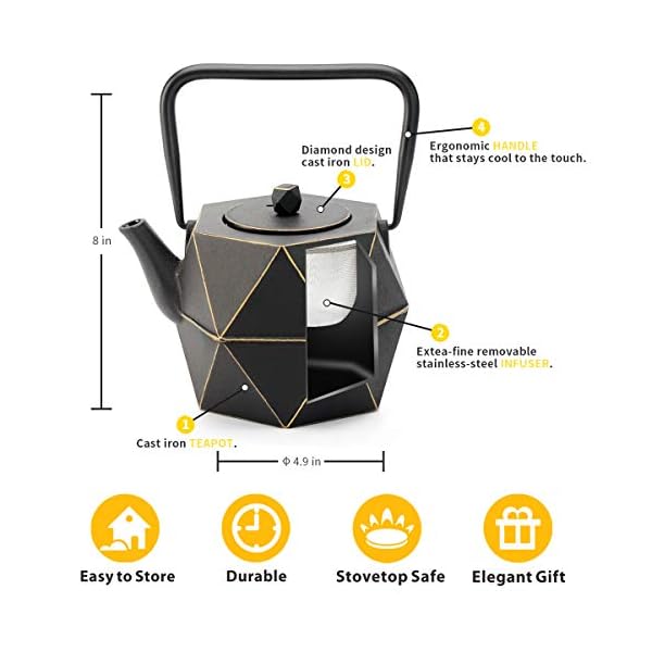 Tea Kettle, TOPTIER Japanese Cast Iron Teapot with Stainless Steel