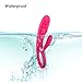 SVAKOM Adonis 100% Waterproof Ribbed Warming Rabbit Vibrators Vibrator with Heating Mode for Women/Couples (Plum Red)