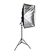 Lightdow 200W Photographic Equipment 20x28 Softbox Continuous Output Lighting Photo Studio Soft Light Bundle(Model Number: LD-TZ005)