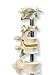 3B Scientific A75/1 5 Vertebrae - 3B Smart Anatomy