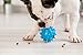 Mavel Ball Toy for Dogs Puppies - Top Cool Rubber Dog Chew Toy - Best for Aggressive Chewers- Small Medium Large Dogs Breeds.