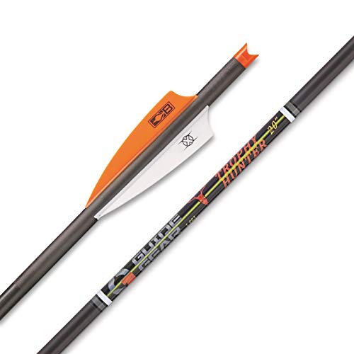 Guide Gear Trophy Hunter Crossbow Bolts by Victory Archery, 6 Pack, 22" Pricepulse