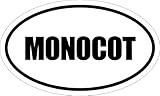 Any and All Graphics MONOCOT 6" Magnet of Oval Euro