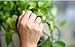 SmallDragon Women's 925 Sterling Silver Olive Branch Tail Ring (Adjustable) Size 6-10