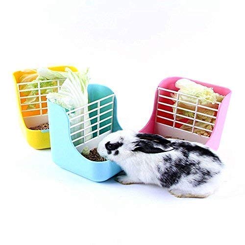 1 Plastic+Rabbits+Chinchillas+Guinea+Animals