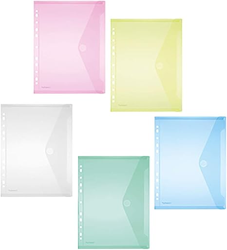 FolderSys Caja de recolección FolderSys 40106-94 DIN A4 ...
