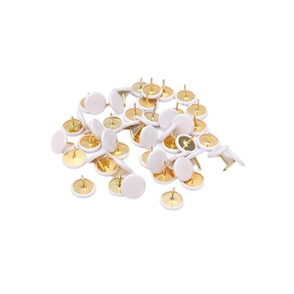 Push Pins SENRISE Drawing Pins Push Pins Map Tacks Drawing Pins, with Plastic Heads and Steel Points for Cork Board Decorative Notice Board Office Map 100 Pieces (White, 10x10mm)