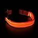 BSeen LED Dog Collar, USB Rechargeable Light Up Safety Pet Collar with 3 Glowing Modes & 3 Reflective Strings, Adjustable Soft Nylon Webbing, Great for Small Medium Large Dogs (Medium, Bright Orange)