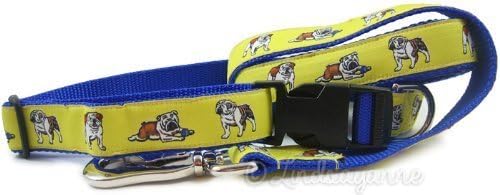 English Bulldog Dog Collar and Leash Set - Yellow