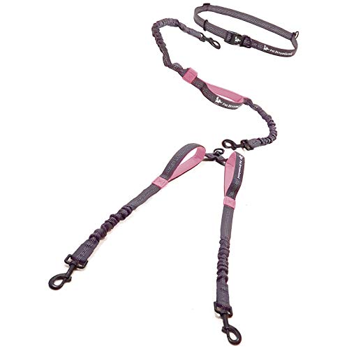 The Best Double Dog Leashes Dogtime