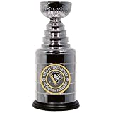 Pittsburgh Penguins 2016 Stanley Cup Champions 8