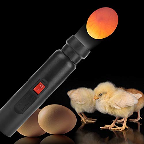 Schierlampe für Hühnereier, Schierlampe Ei Candler Zucht Ei Fruchtbarkeitsprüfer, Hochintensives Kühles LED Licht Dual Power Egg Candler Tester Eier Inkubatorlampe Candler Tester Beleuchtung – Bild 5