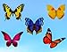 Quotidian Products Butterfly Window Clings-20xAnti Collision Decal to Prevent Bird Strikes on Doors & Windows-Static,UV Resistant & Non Adhesive Vinyl Cling Deterrent Decal & Glass Decor to Alert Bird