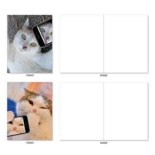 image for The Best Card Company Cats Selfie: 10 Assorted Box of Blank Note Cards