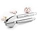 Garlic Press - ALISKID 304 Stainless Steel Garlic Press Crusher Chopper & Mincer Ginger