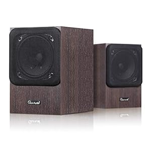 HiFi 5 “inch 80 W Volledige Range Boekenplank Passieve Luidspreker Home Theater Systeem