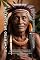 Livro O Chamado Da Floresta: Xamanismo E Sabedoria Ancestral