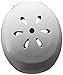 Punisher Skateboards 13 Vent Pro BMX Bike and Skateboard Safety Helmet for Youth Ages 9 and up
