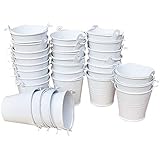 GuiHe 30pcs Mini Metal Bucket Tin Candy Box Buckets Souvenirs Gift Pails Perfect for Party Favors, Candy, Votive Candles, Tri