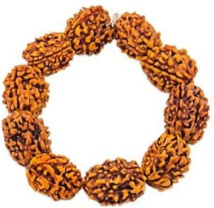 Yuvi Shoppe Original Natural Nepali 3 Face Rudraksh Bracelet, 3 Mukhi Rudraksha Bracelet