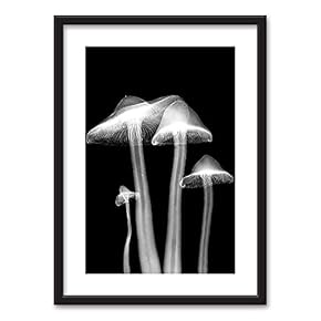 Framed Wall Art Flowers Giclee Printed Art in Black Picture Frames White Matting - 23x31 inches