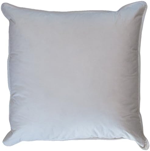 Ogallala Hypodown Decorative Throw 600-fill Down Pillow, Throw 20-Inch by 20-Inch