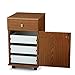 Arrow 800 Suzi Sidekick Portable Sewing, Crafting, and Quilting Storage and Organization Cabinet, Oak Finish