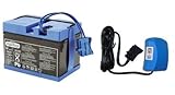 Peg Perego 12 Volt Blue Battery and Charger Combo Set