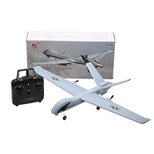Blueyouth RC Airplane – Z51 660mm Wingspan 2.4G 2CH EPP DIY Glider RC Airplane RTF Built-in gyro Remote Control Aircraft