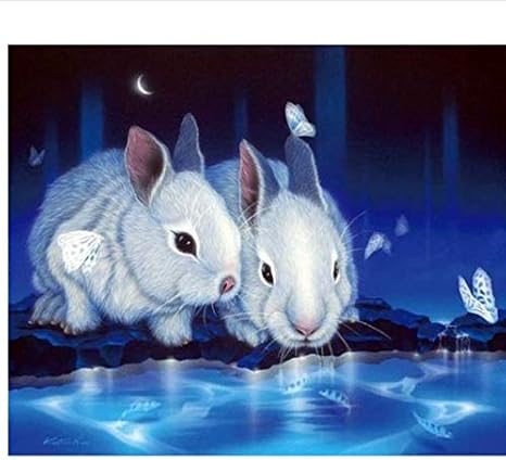 Amazon.com: Diamond Art Full Kits, Round/Round 5D Diamond Painting