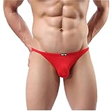 Sunward Men Ultra-thin Breathable Briefs Sexy Underwear (M, Red)