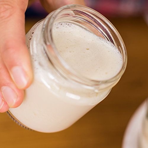 Vegan Yogurt Starter Kit All the supplies you need to make