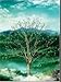 Four Seasons Tree 3D Poster Wall Art Decor Print | 14.5x18.5