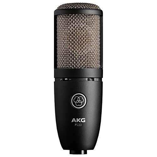 AKG P220 Vocal Condenser Microphone, Black (3101H00420)