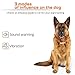 Ruff Boyz Dog Bark Collar-Humane and Effective Anti Bark for Large Dogs Small Dogs and Medium Dogs- Rechargeable Bark Collar with Sound Warning and Vibration Bark Control Collarthumb 2