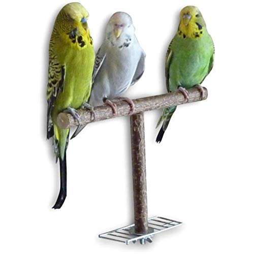 Rbxibibx Parrot Wood Stand Cage Toys Training T Perch Grinding Chewing Parakeet Bird